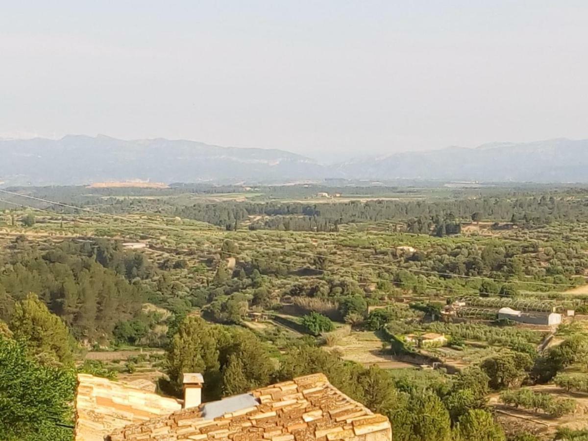 Vila Ca La Llum Tivissa Exteriér fotografie